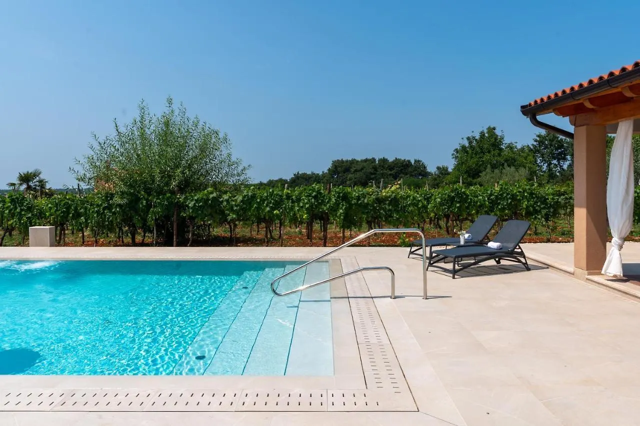 Vitis Apartment Istra Tinjan